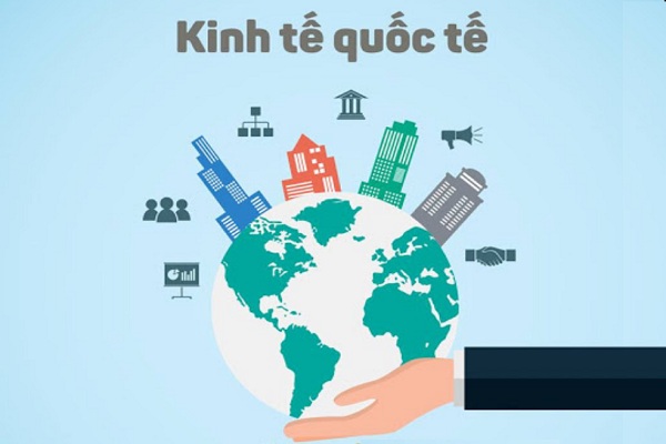 Việc làm và nghiên cứu