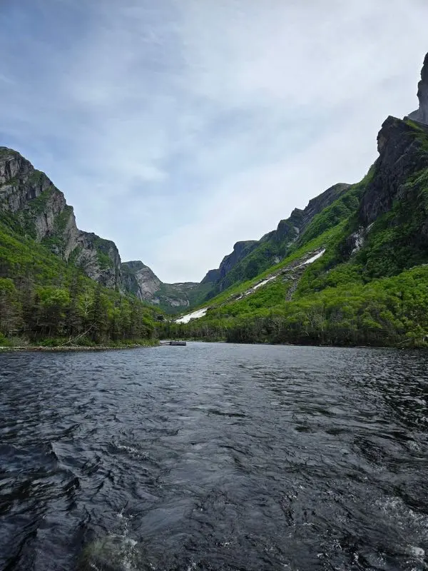 Cảnh quan fjord ở Gros Morne National Park