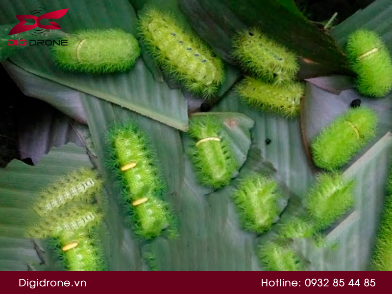 Mẹ con trò chuyện buổi tối