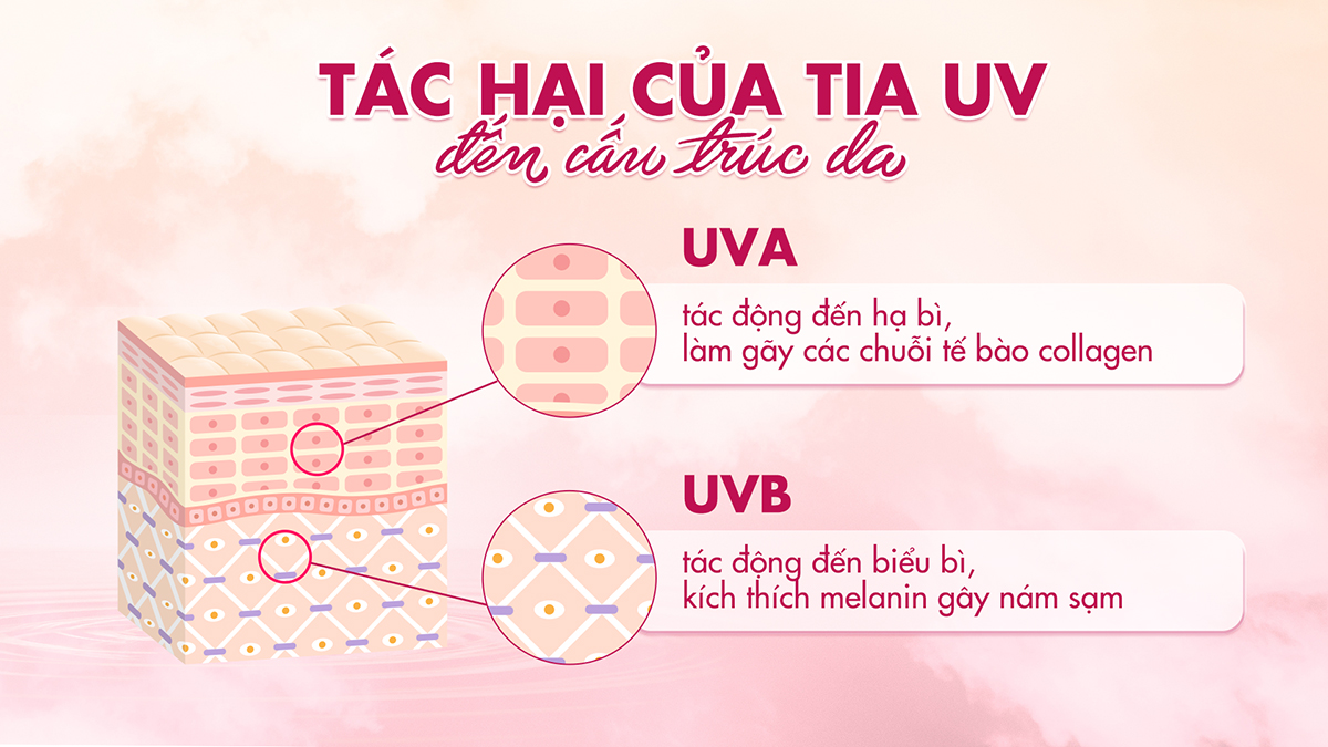 Sự phá hủy cấu trúc tế bào da do tác động của bức xạ UV và môi trường