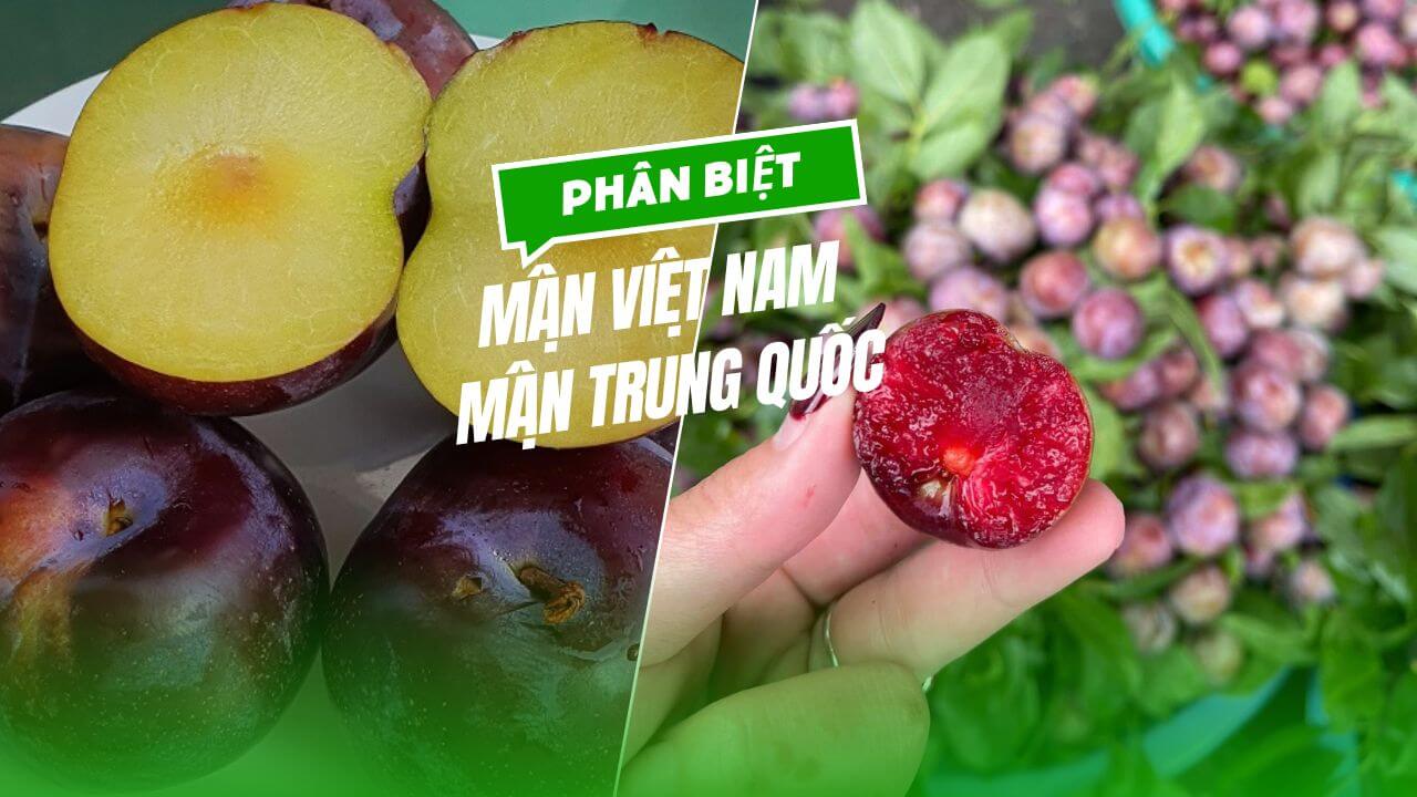 Phân biệt mẩn đỏ và tổn thương da
