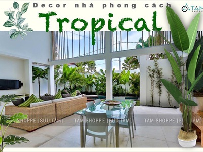 Tạo điểm nhấn bằng cây xanh nhiệt đới