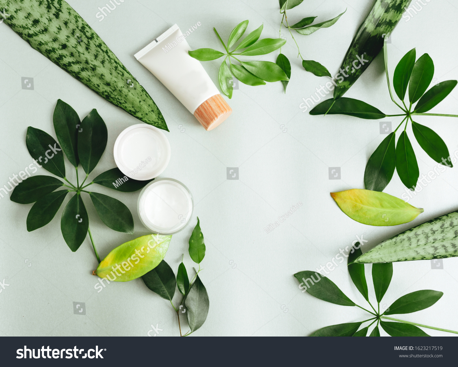 Người dùng nên nhìn Cocoon và các thương hiệu tương tự như thế nào