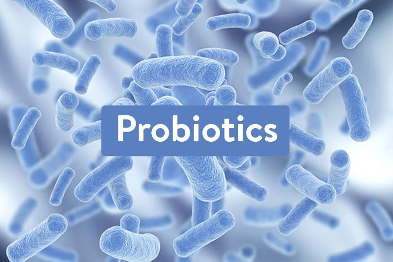 PROBIOTICS: NHỮNG ĐIỀU BẠN CẦN BIẾT - Bepharco