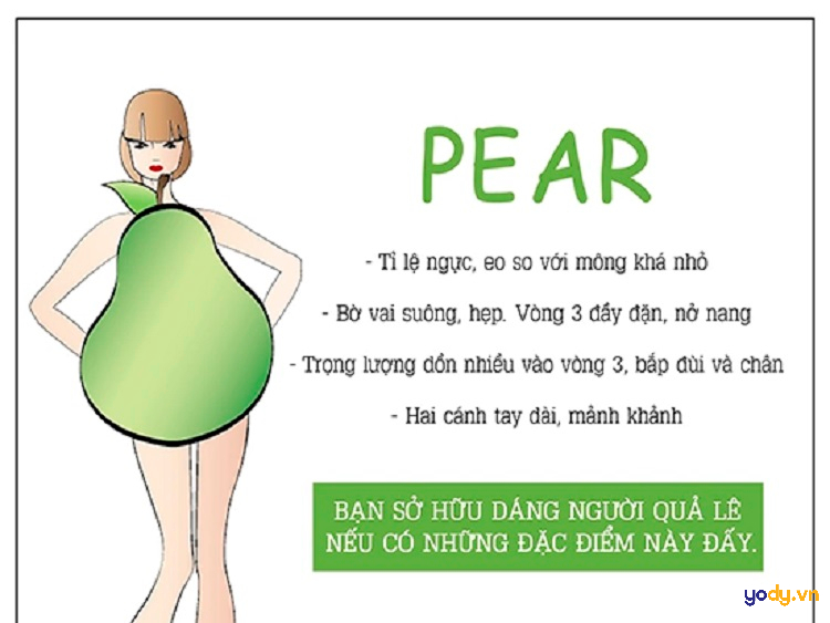 Tỷ lệ cơ thể cân đối