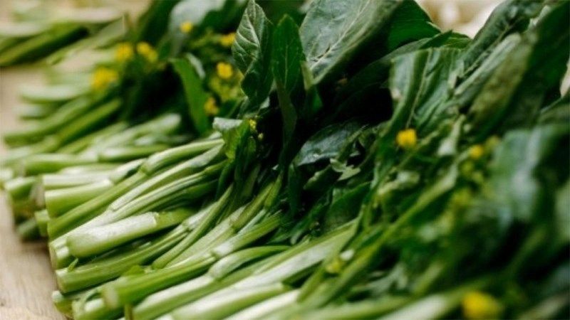 Cải ngồng nổi bật với phần thân mập mạp và hoa vàng trên ngọn