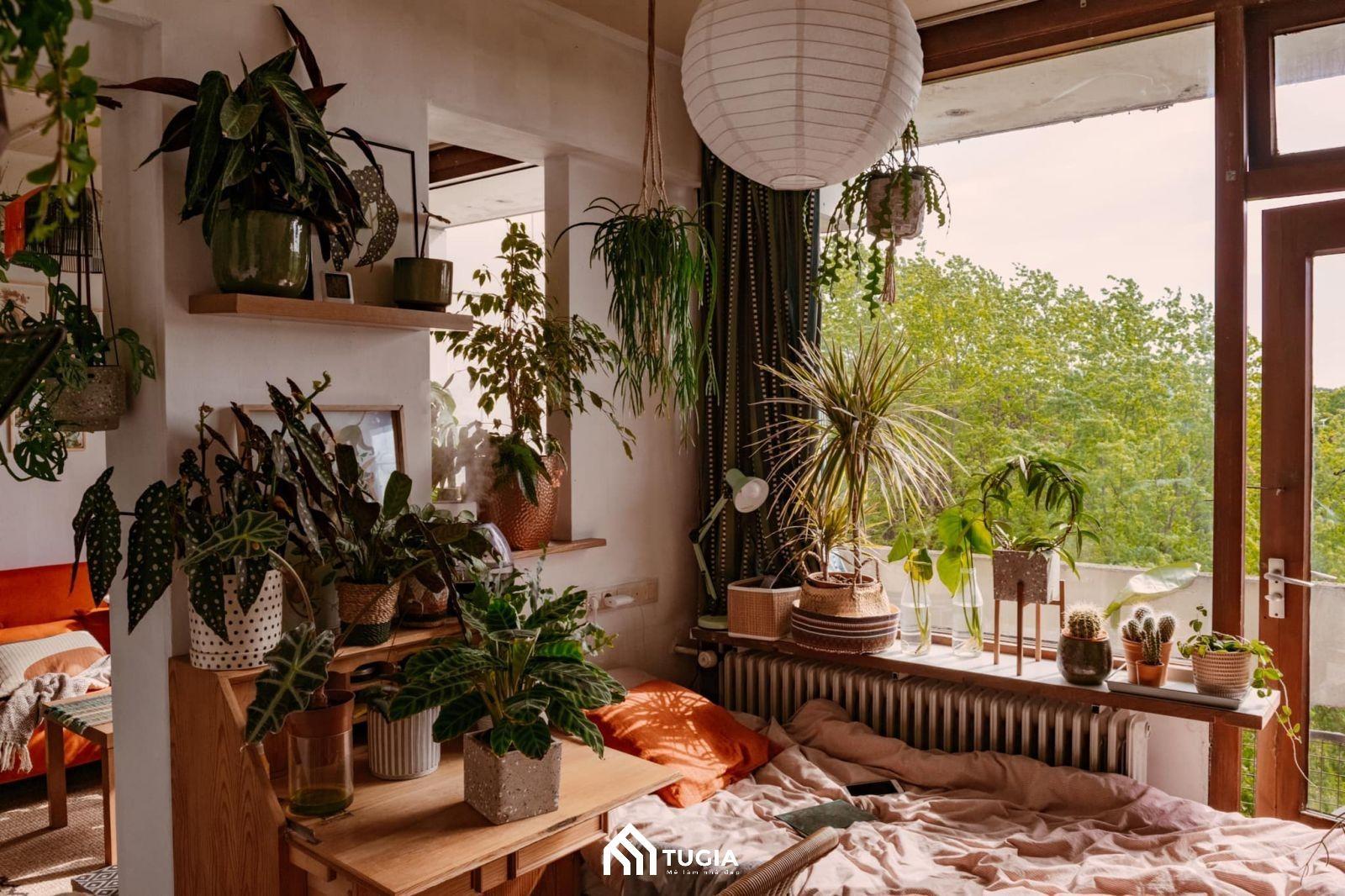 Decor phòng ngủ nhỏ cho nữ với nhiều cây xanh