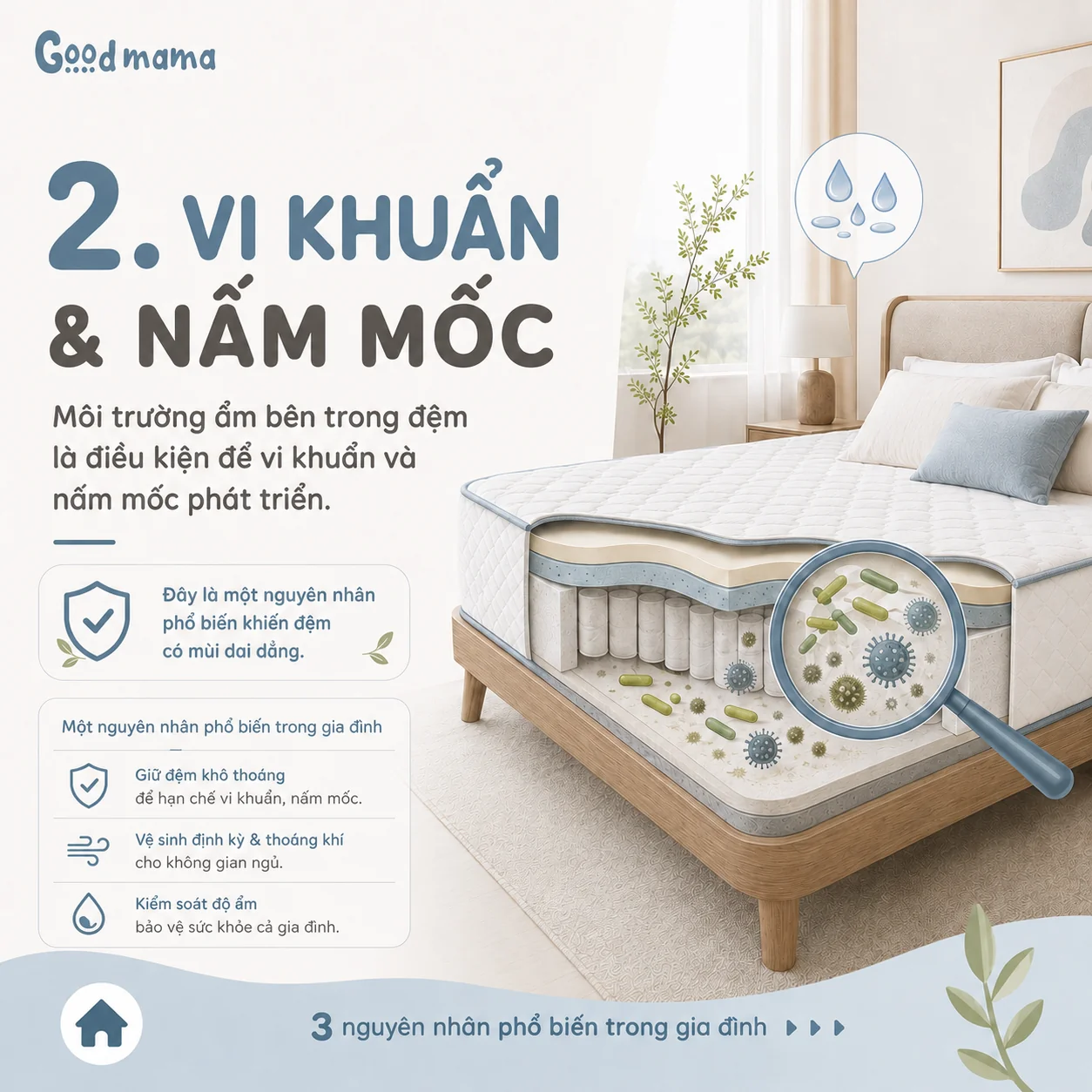 Vi khuẩn và nấm mốc phát triển trong môi trường ẩm