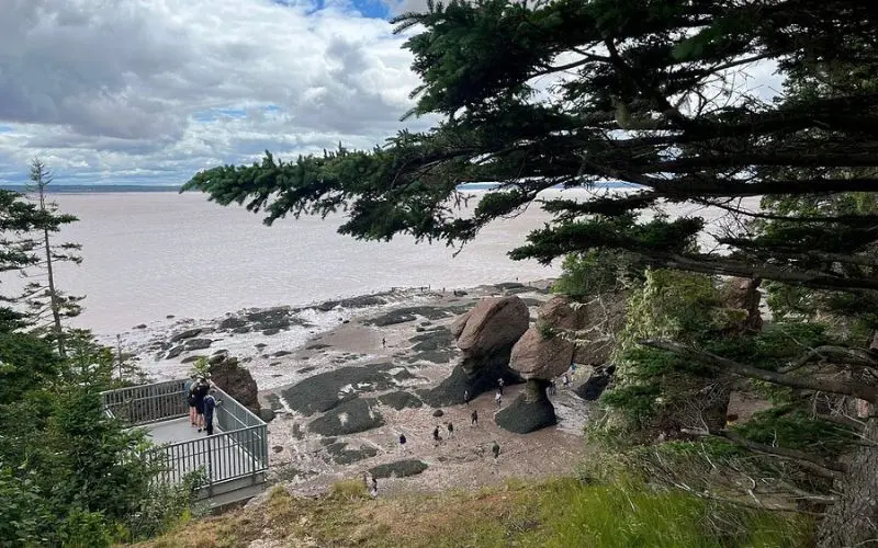 Vách đá ven biển và thủy triều thấp ở Bay of Fundy