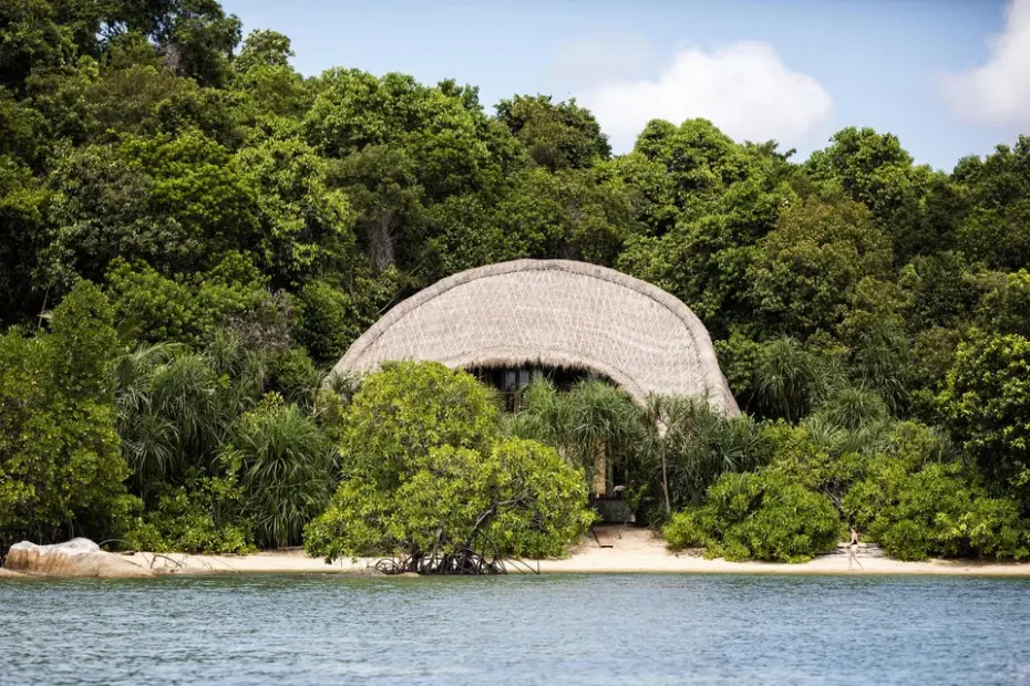 Longevity retreat - không gian chữa lành sâu và kéo dài tuổi thọ