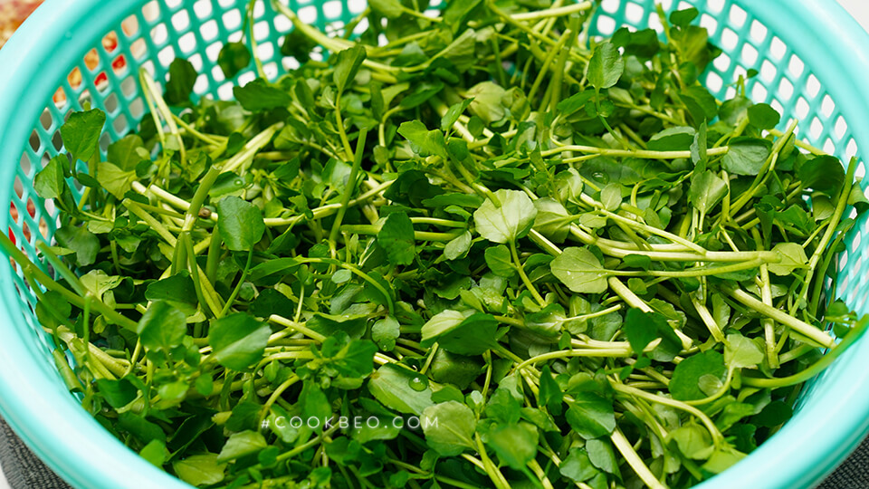 Rau cải xoong
