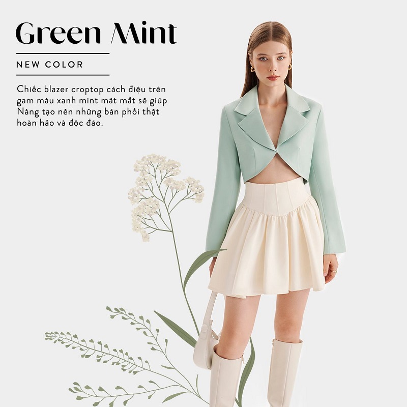 Ivory kết hợp xanh mint mang đến vẻ tươi sáng, nhẹ nhàng và hiện đại