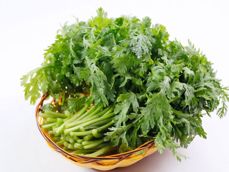 Cải cúc