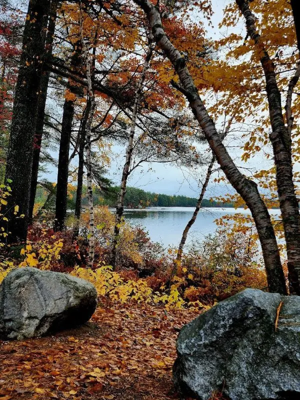 Rừng thu và hồ nước ở Baxter State Park
