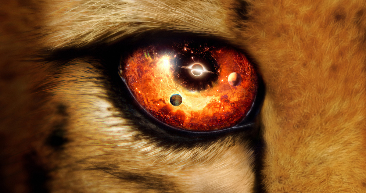 Dàn cast ăn ảnh của phim