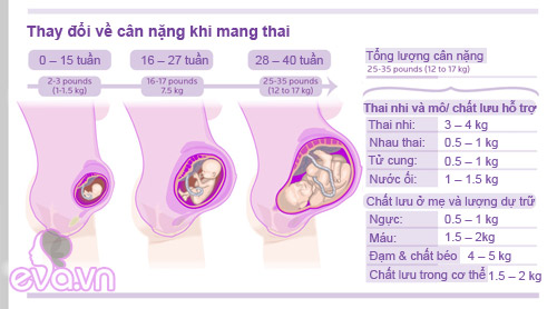 Mẹ bầu có dấu hiệu thai sớm