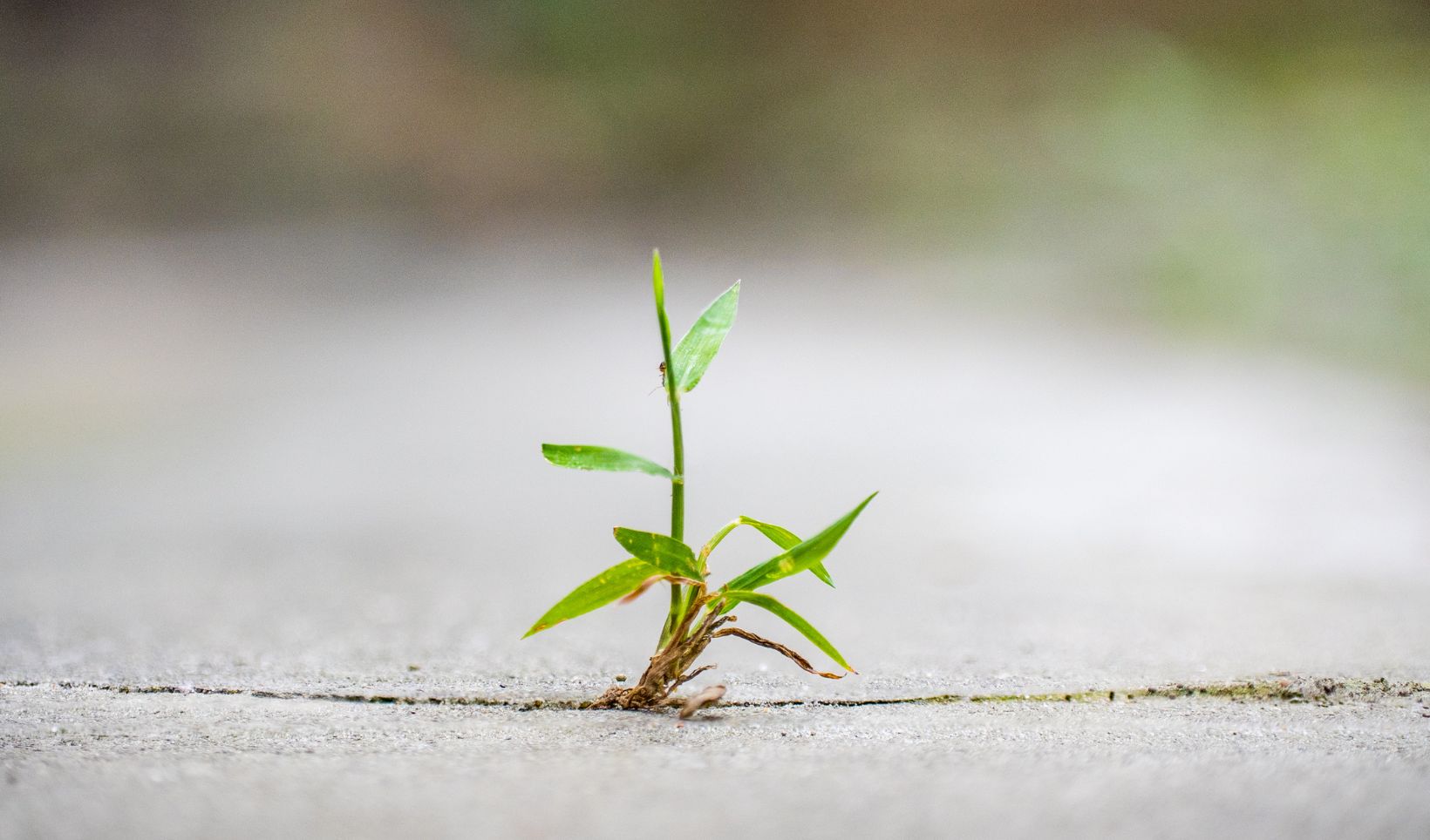 Người đang vượt giới hạn