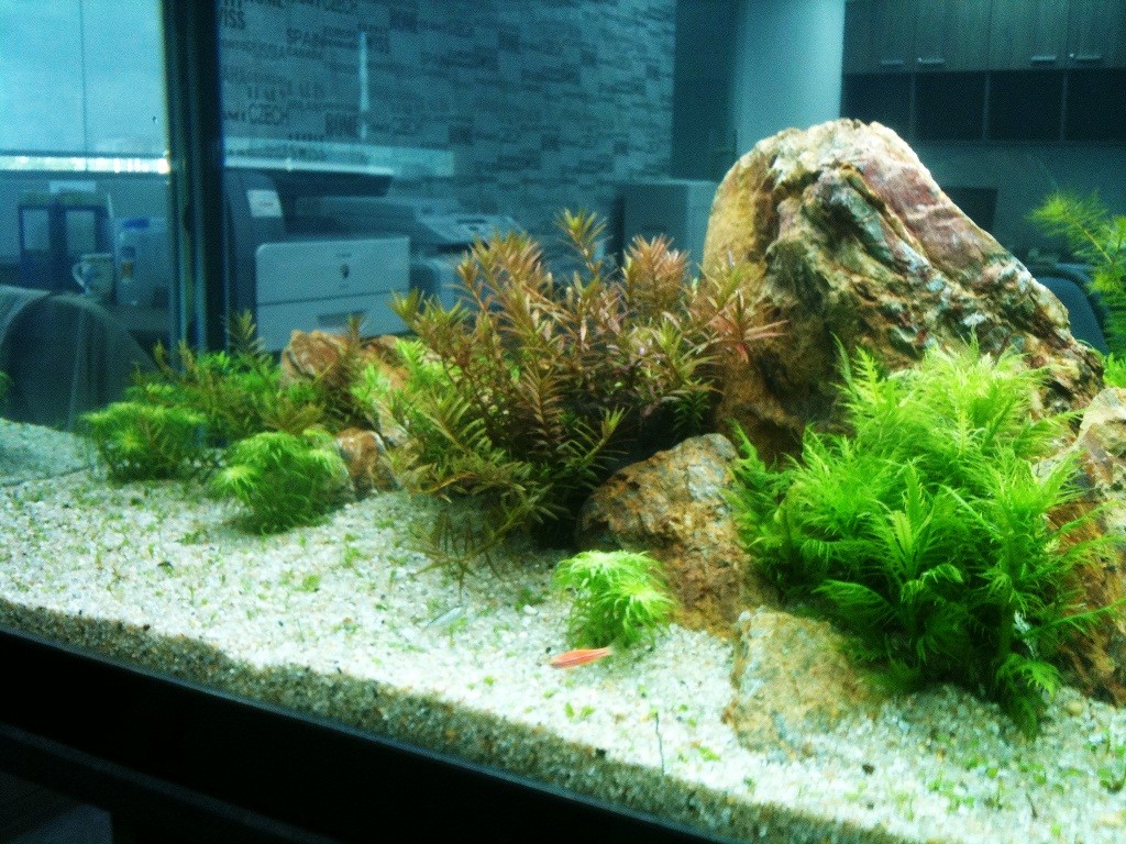 Hiện tượng nôn trớ ở trẻ sơ sinh