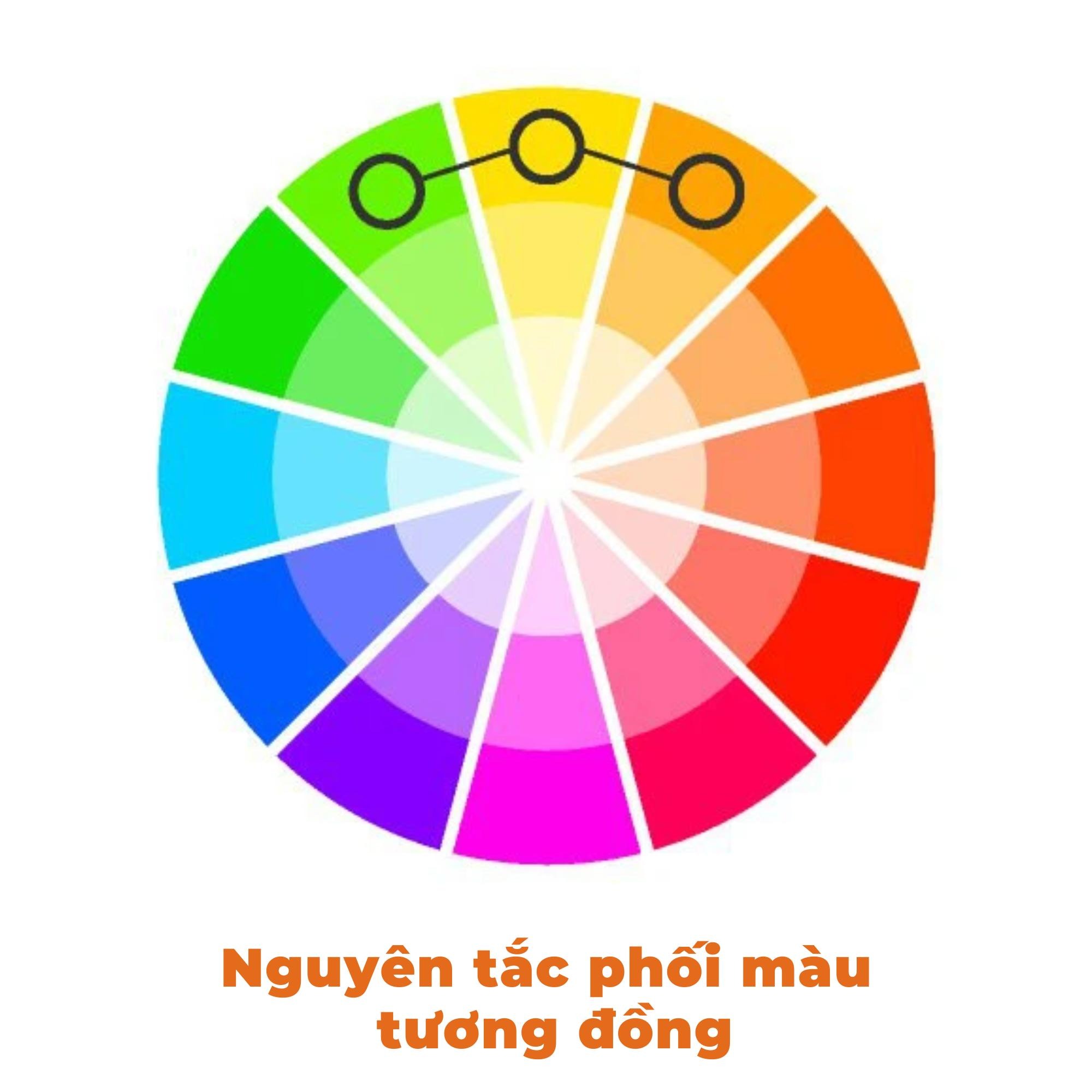 Phối màu theo nguyên tắc đồng tông