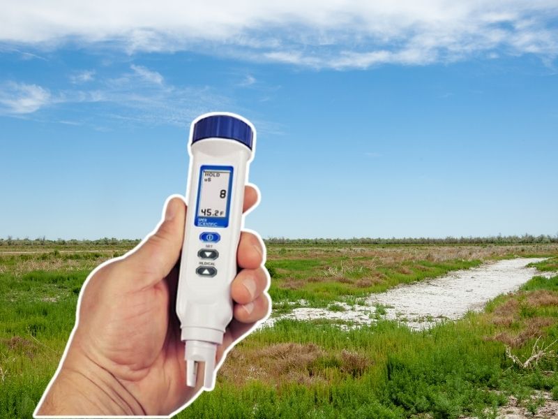 Dấu hiệu cần khám sớm