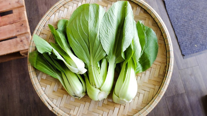 Rau cải thìa với phần bẹ trắng to bản