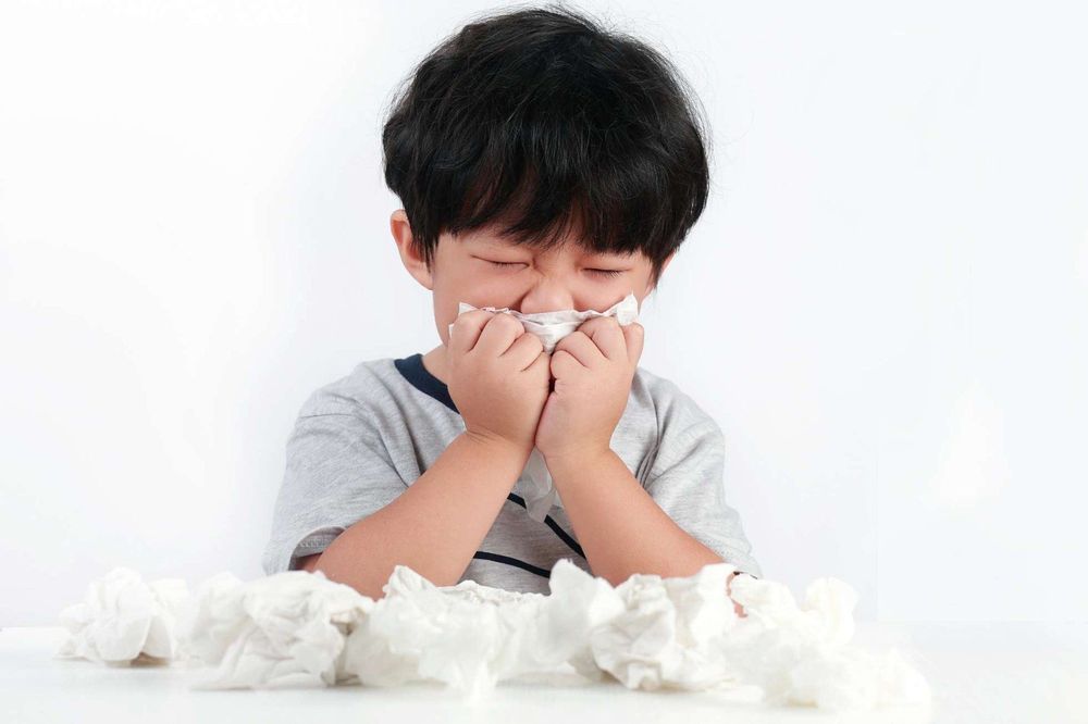 Dị ứng vật nuôi có nguy hiểm với trẻ nhỏ? | Vinmec