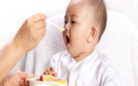 Món ăn dặm cho bé