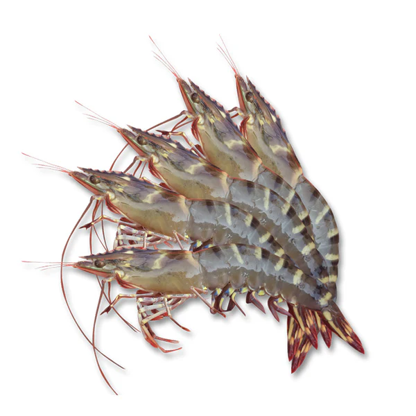 Các loại thịt nên hạn chế