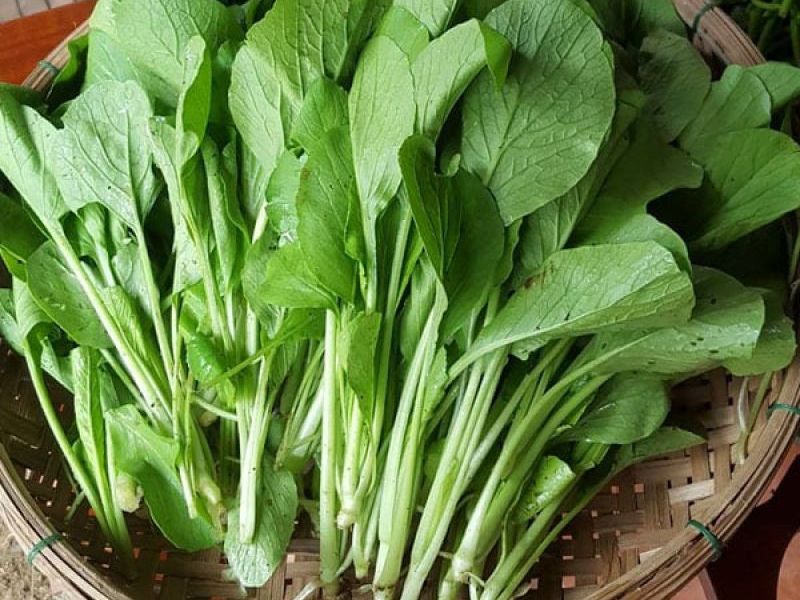 Cải ngọt