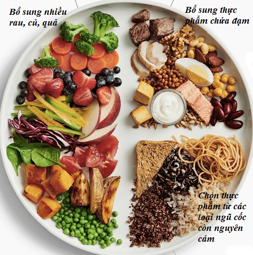 Hình ảnh minh họa nguyên tắc đa dạng thực phẩm trong chế độ ăn lành mạnh với nhiều nhóm thực phẩm khác nhau