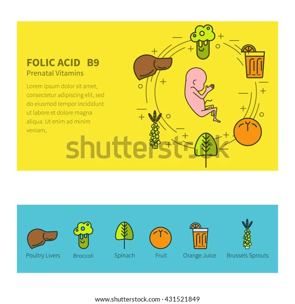 Bữa ăn thai kỳ cân đối