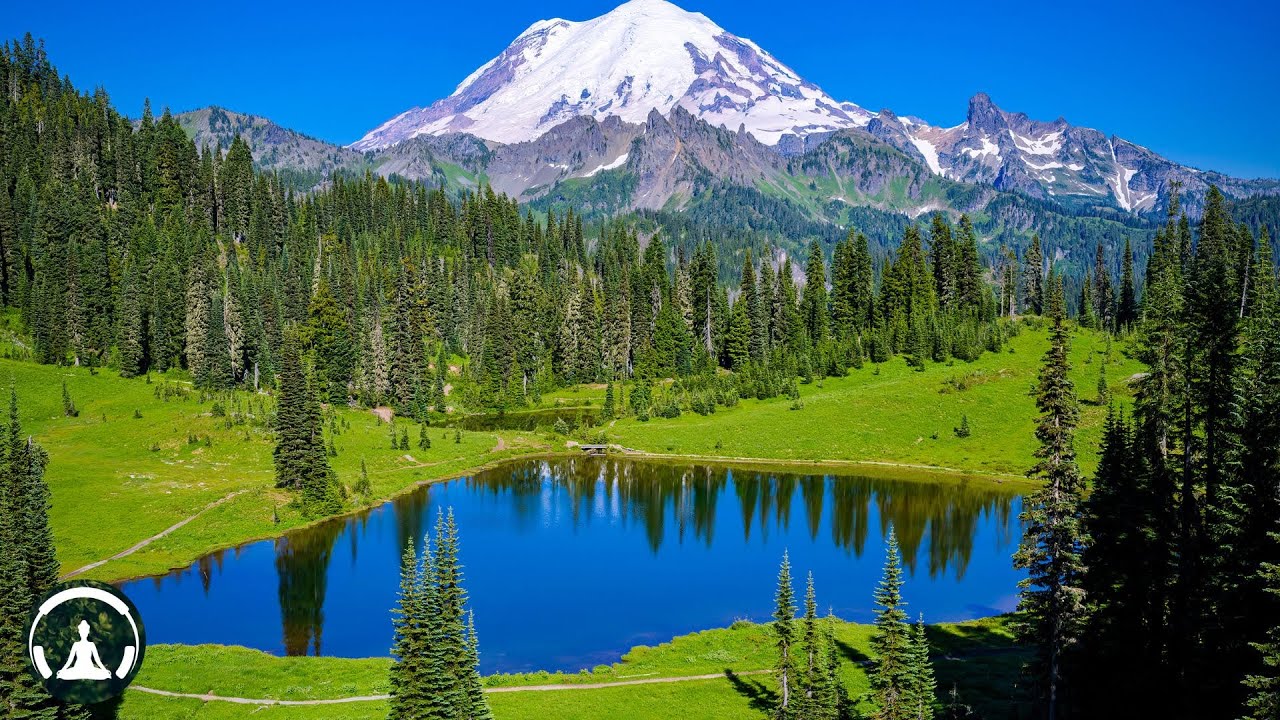 Phong thái nhẹ nhàng tự nhiên