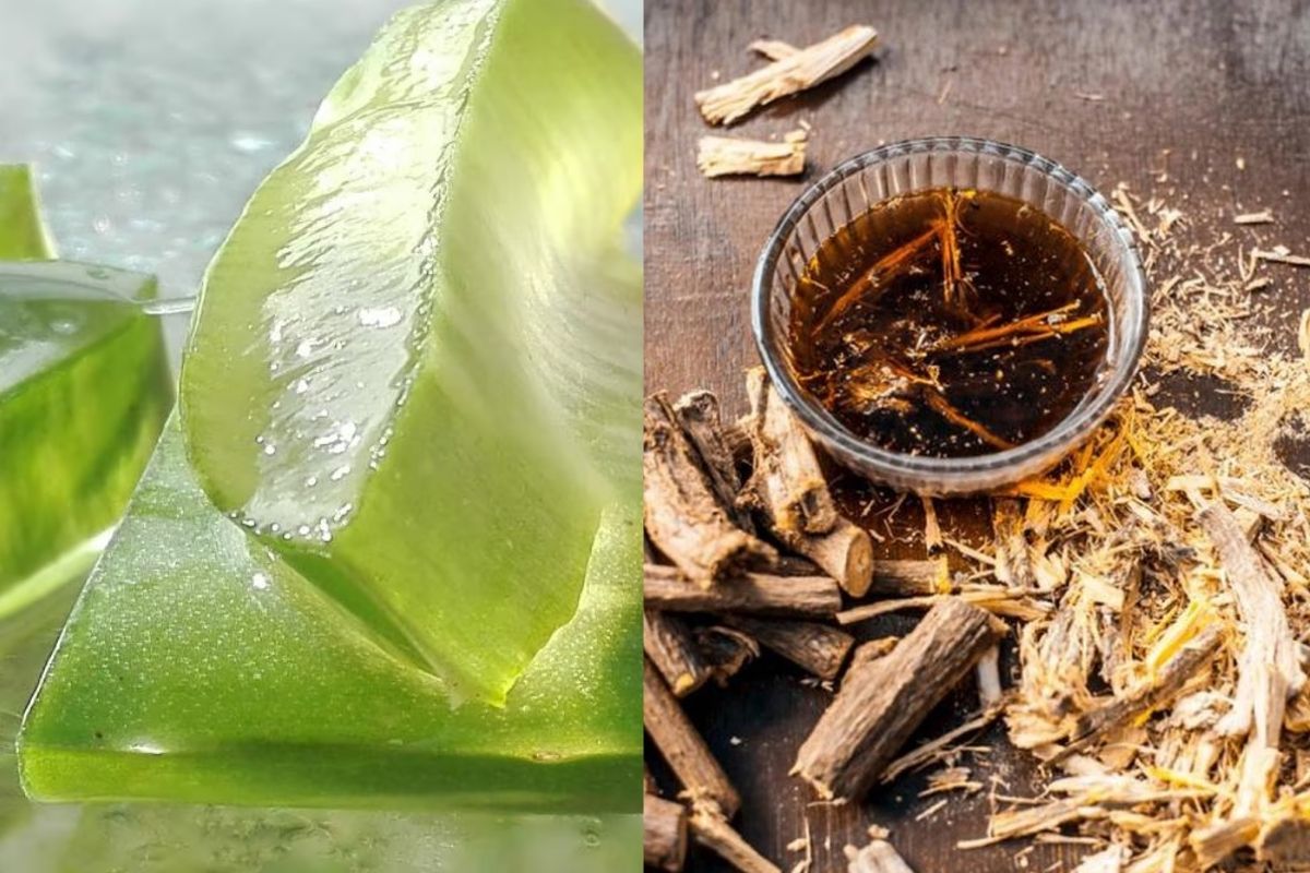 Mặt nạ từ nha đam và cam thảo giúp thư giãn làn da sau khi tiếp xúc nắng