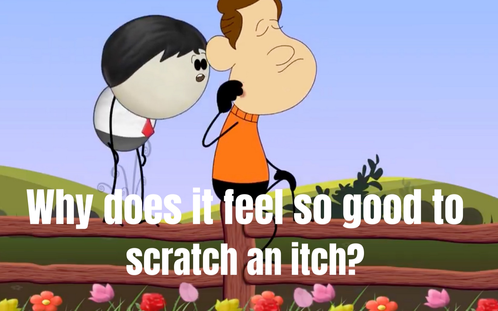 Sơ chế rau cải sạch