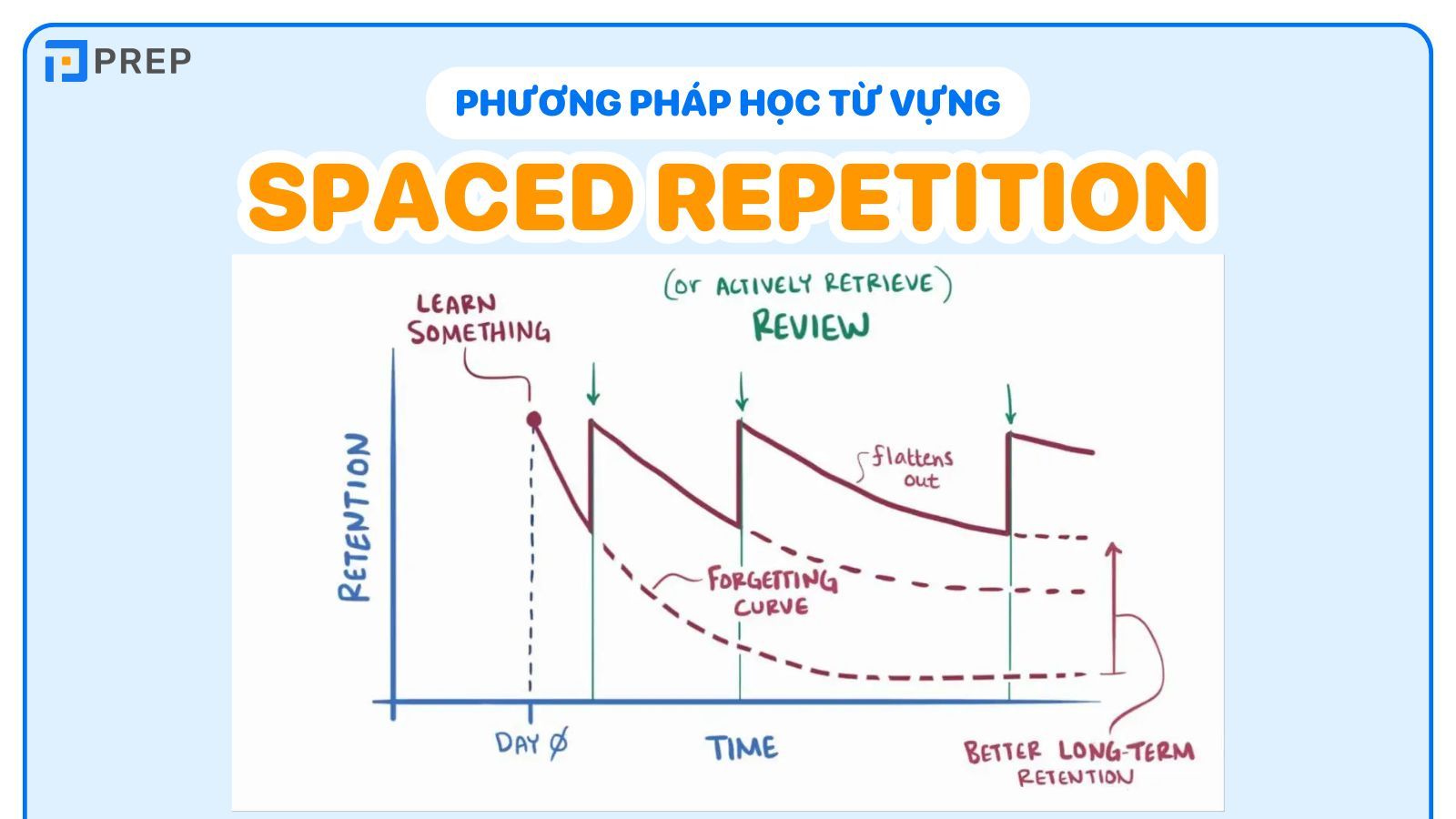 Ôn lại cụm từ đúng lúc