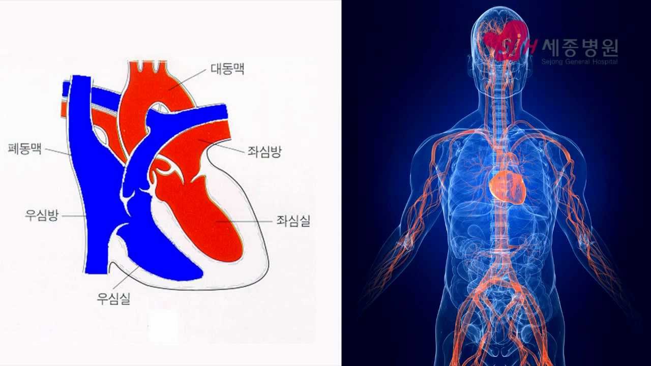 Cửa sổ Paint trên PC
