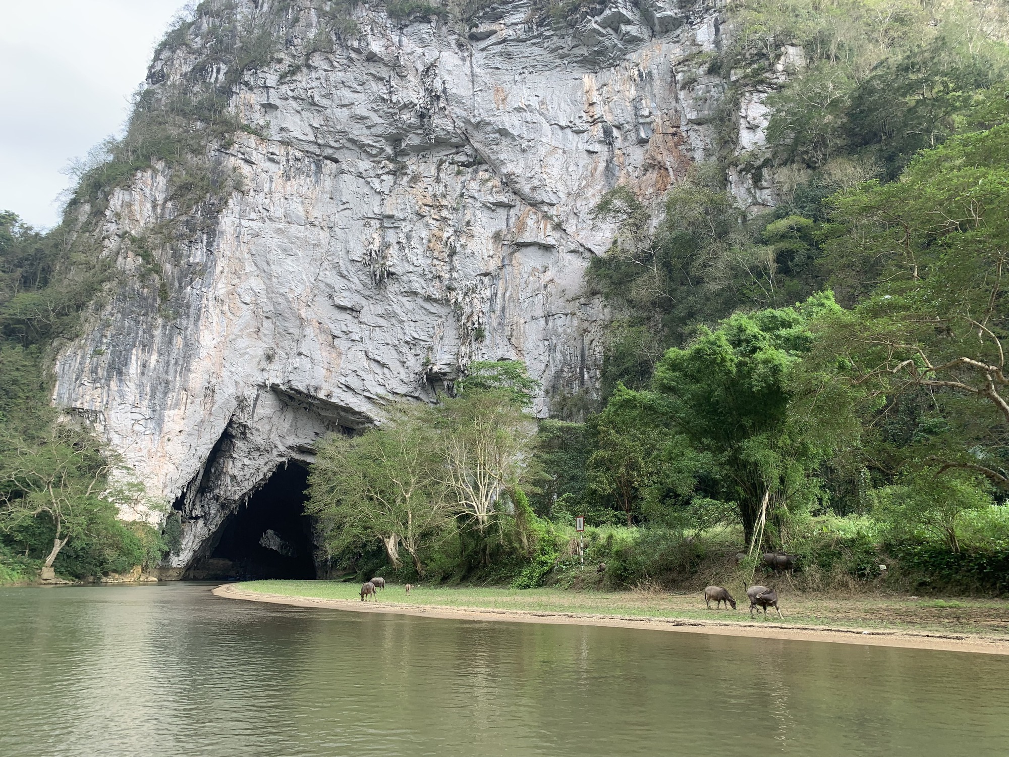 Cánh rừng nguyên sinh bao quanh hồ Ba Bể