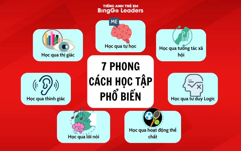 Phong cách học tập đa dạng ở trẻ