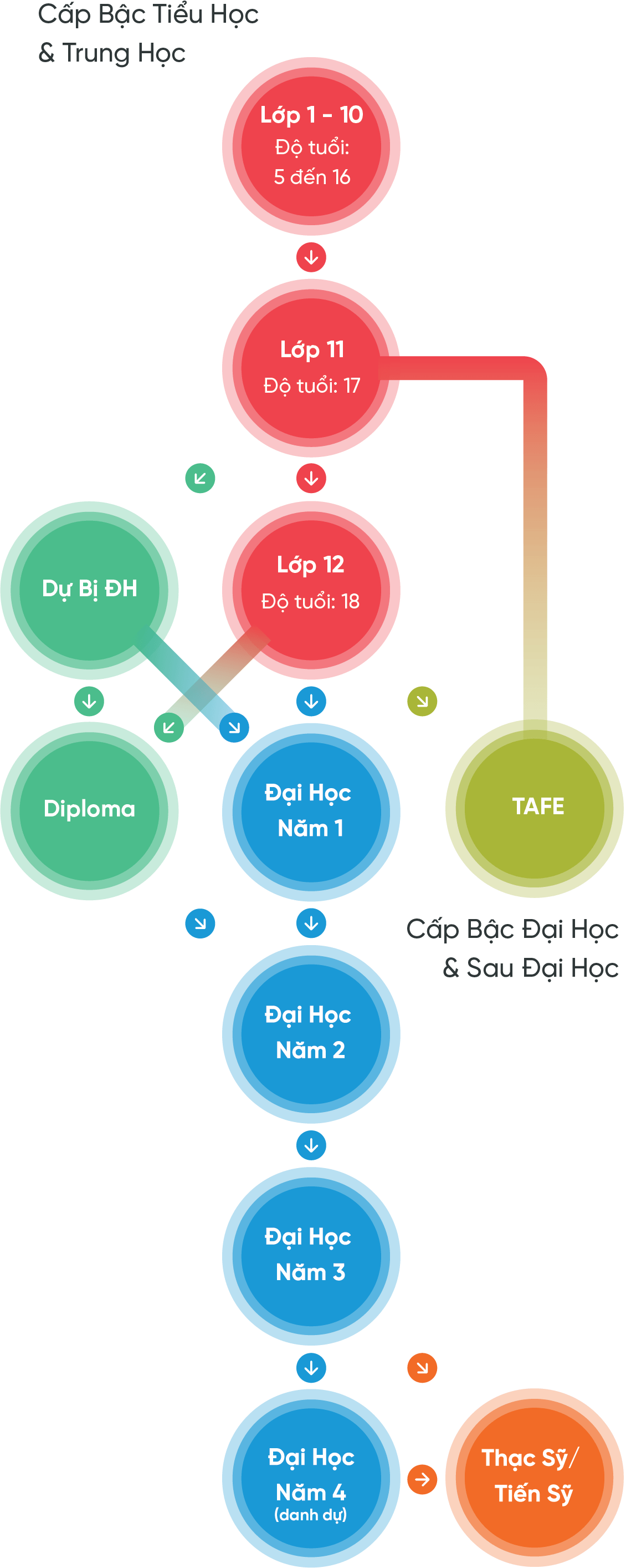 Các loại trường Cao Đẳng/ Đại Học tại Úc