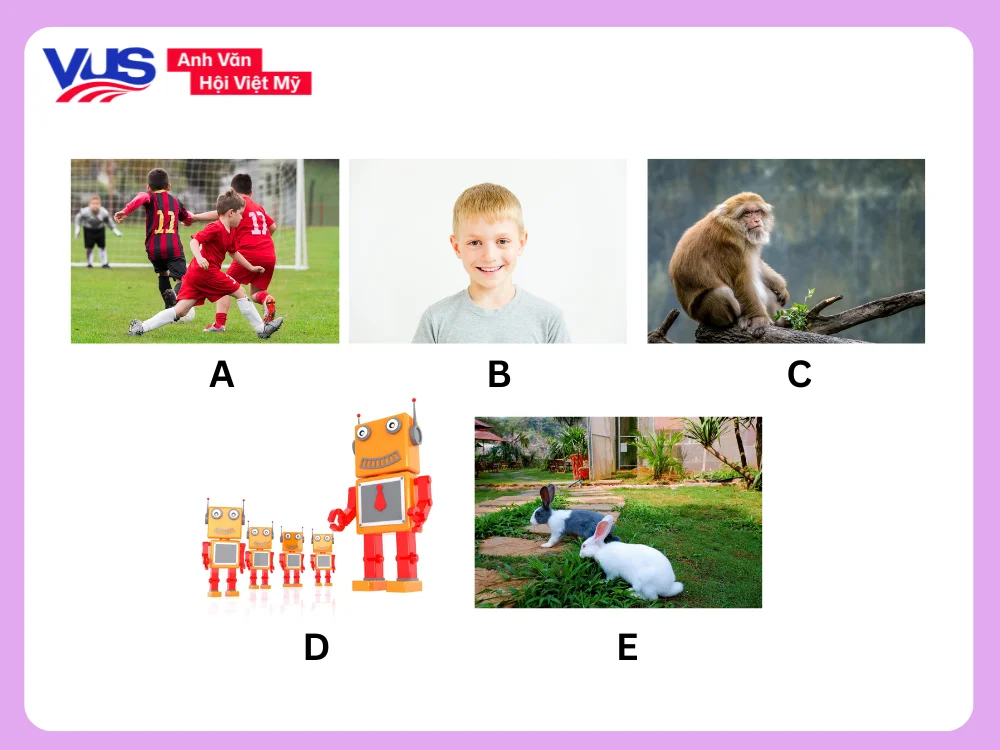Đề thi tiếng Anh lớp 3 cuối kì 2 Match the sentences with the pictures