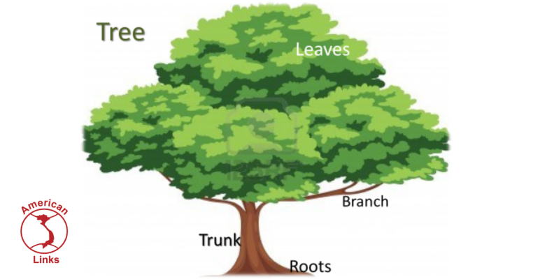 Hình thức giảng dạy