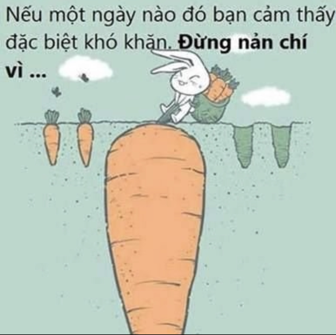 Bố mẹ theo dõi tiến bộ của con