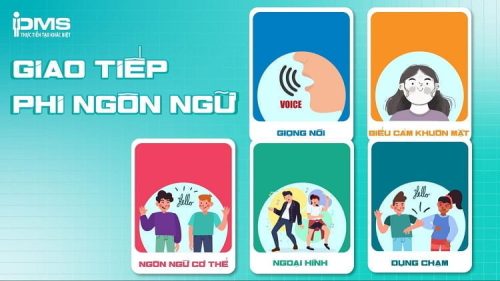 Cử chỉ phi ngôn ngữ khi giao tiếp