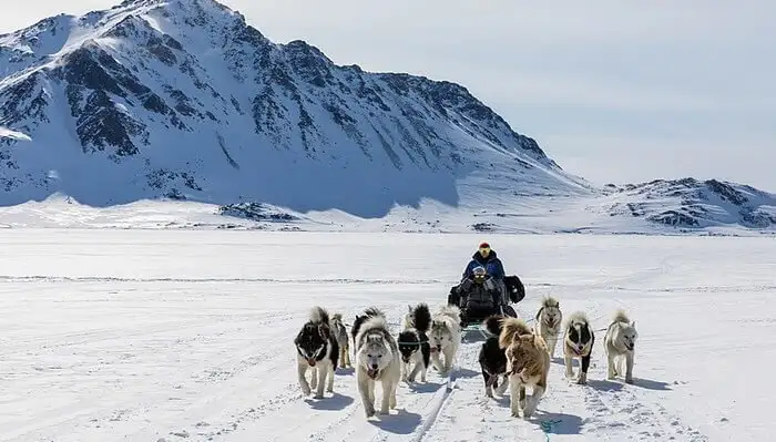 Một góc nhìn băng giá của Greenland - điểm đến kỳ nghỉ hè tuyệt vời nhất