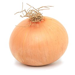 Củ hành tây trong đời sống hằng ngày