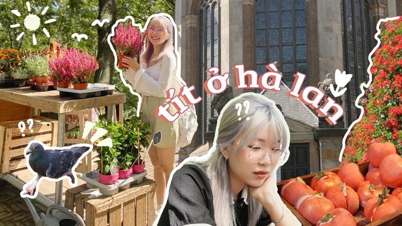 Tít Ở Trên Mây