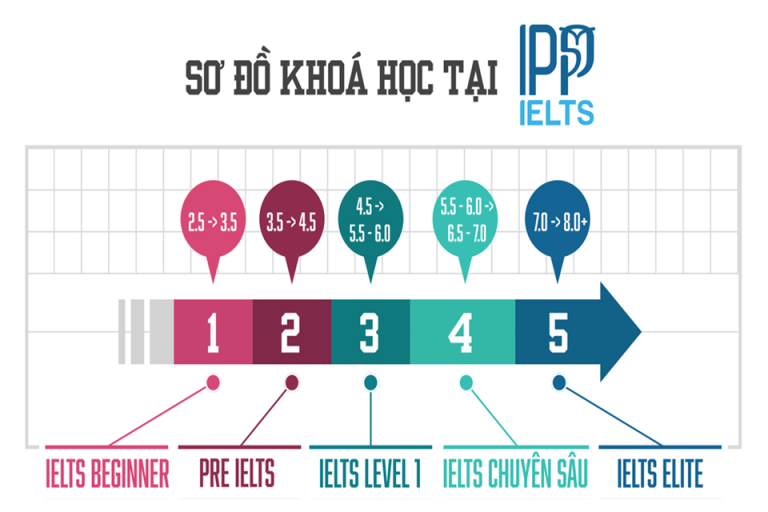 Chương trình đào tạo đa dạng tại IPP IELTS