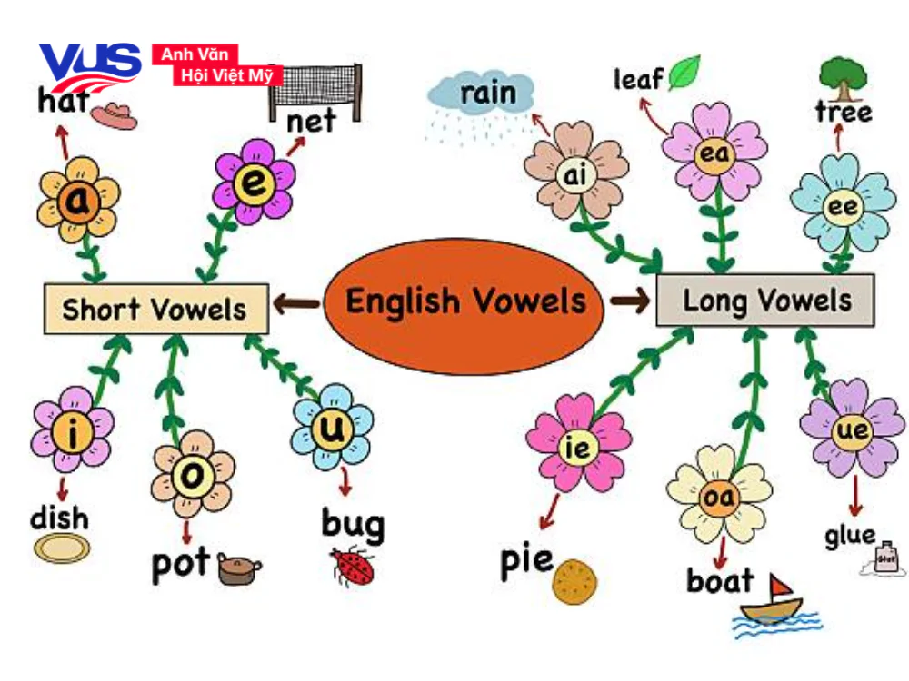 Short vowels và Long vowels trong tiếng Anh