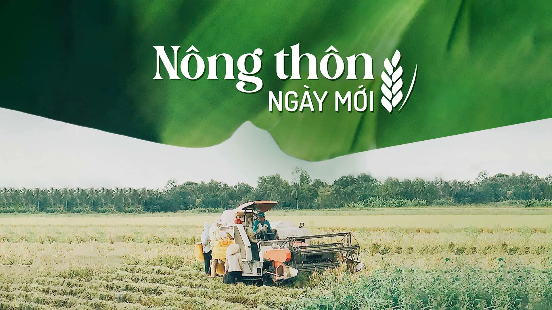 Lộ trình học tiếng Anh mỗi ngày