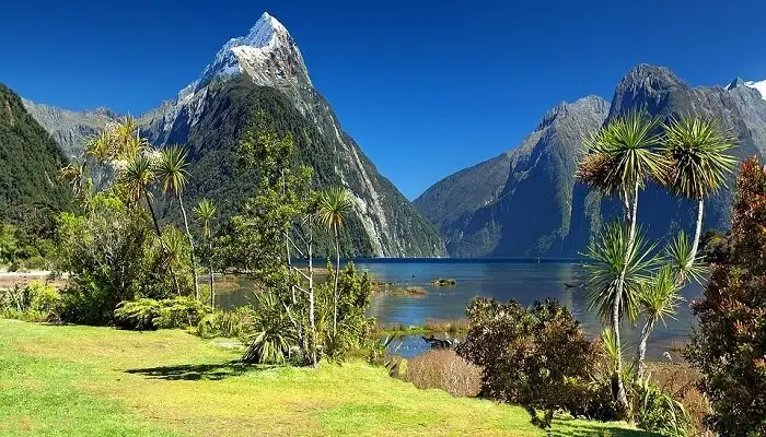 Cảnh quan ngoạn mục tại New Zealand